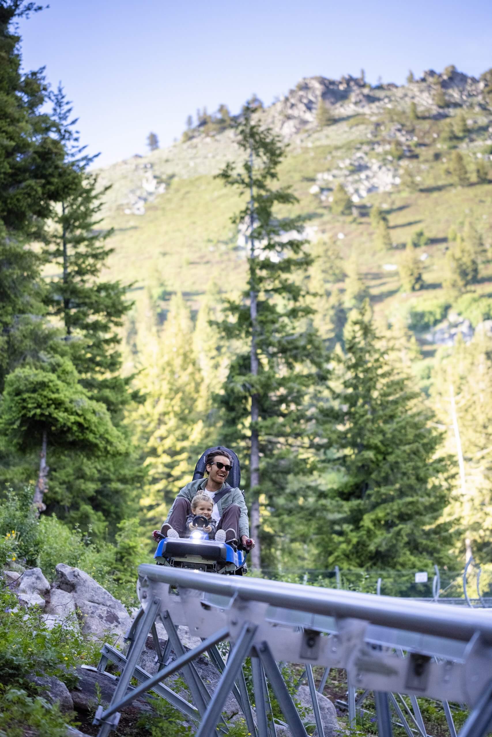 A family riding a mountain coaster.