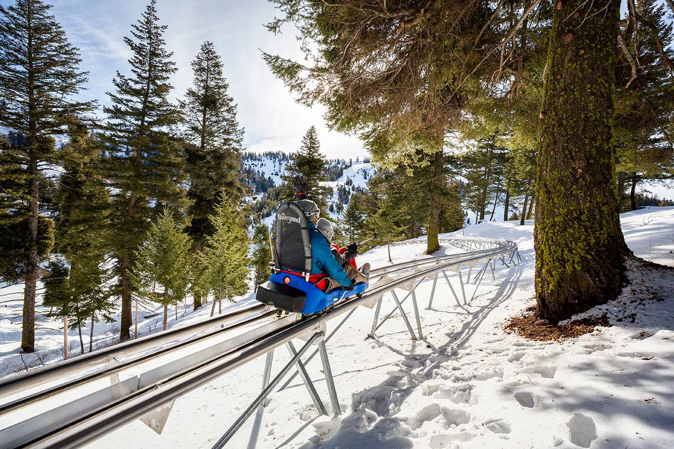 Two people riding on mountain coaster at Bogus Basin in the winter.