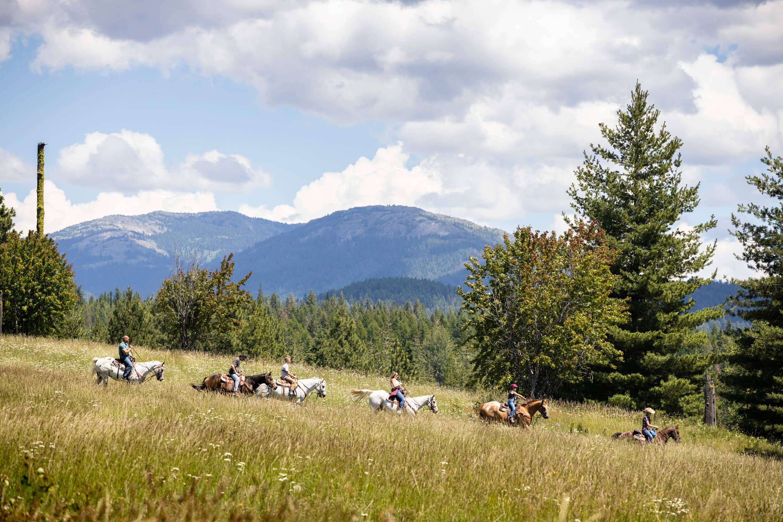 people on horseback at Western Pleasure in Idaho