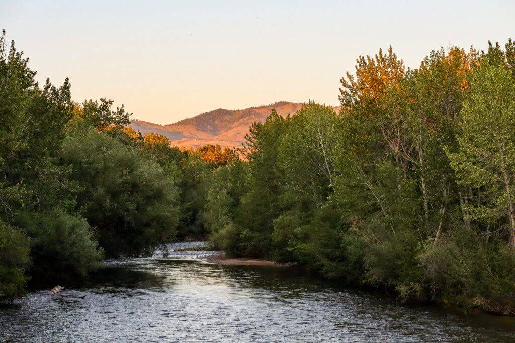 river at sunset with bit trees lining the bank and foothills in the background