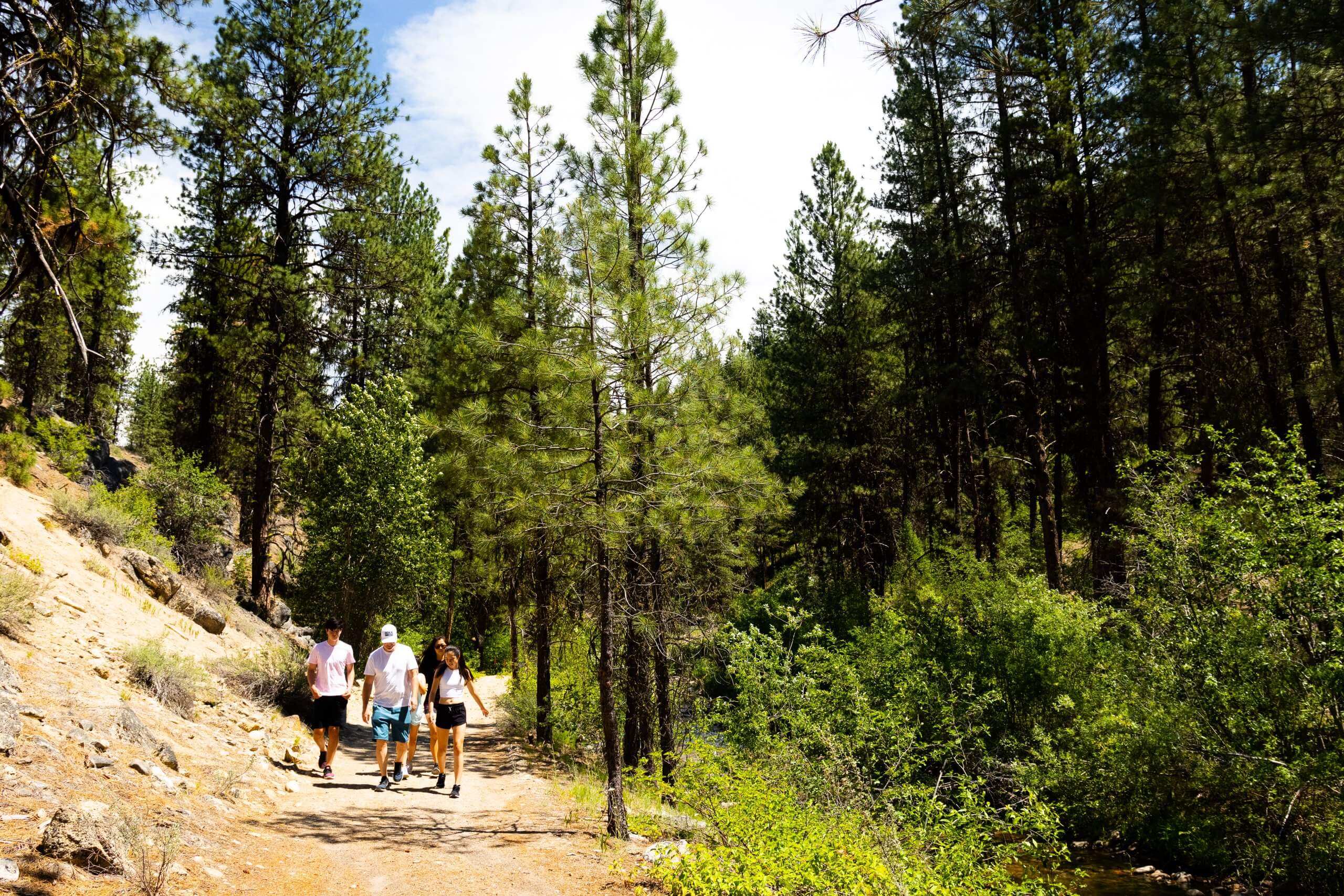 a group of people hiking along the Granite Creek Interpretive Trail, surrounded by trees