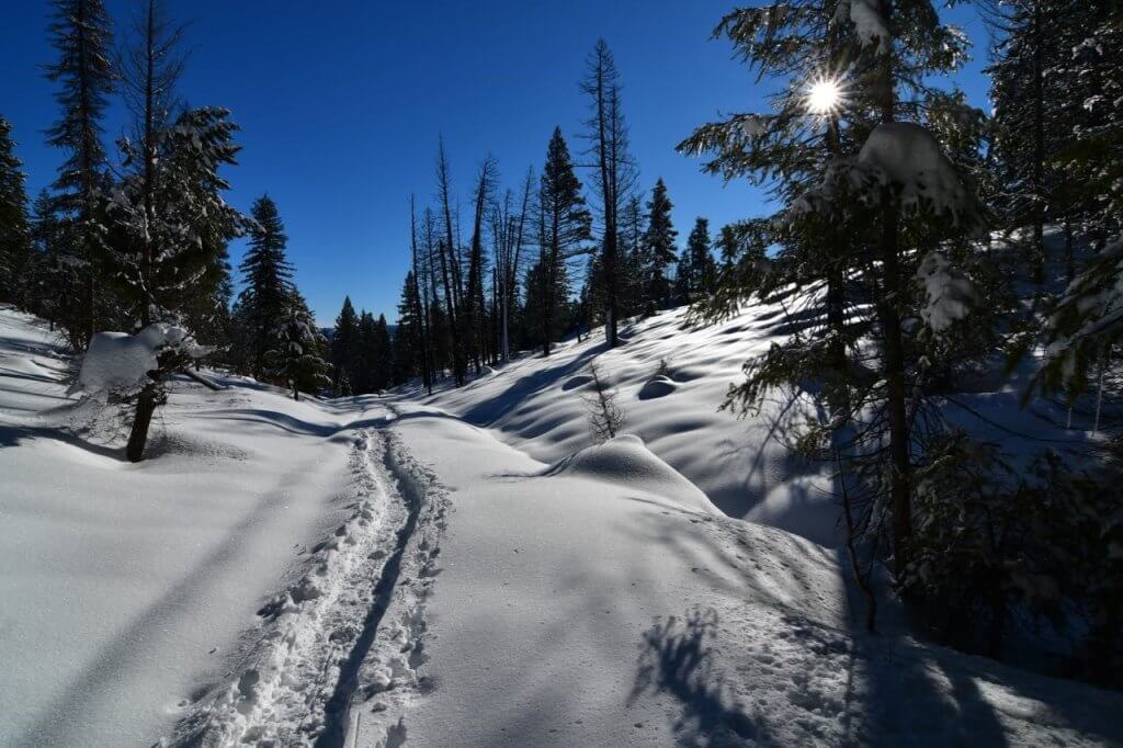 View of a snow trail on a hill while snowshoeing.
