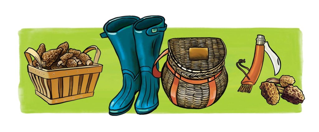 Illustrations of a basket of morel mushrooms, rubber boots, a foraging basket backpack, a mushroom knife and a small pile of morel mushrooms.