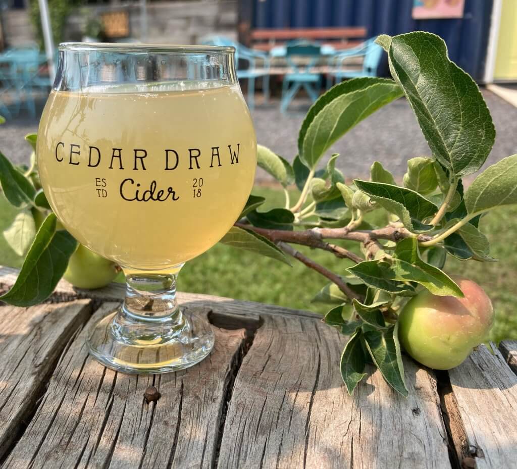 A glass of hard cider next to an apple at Cedar Draw Cider.
