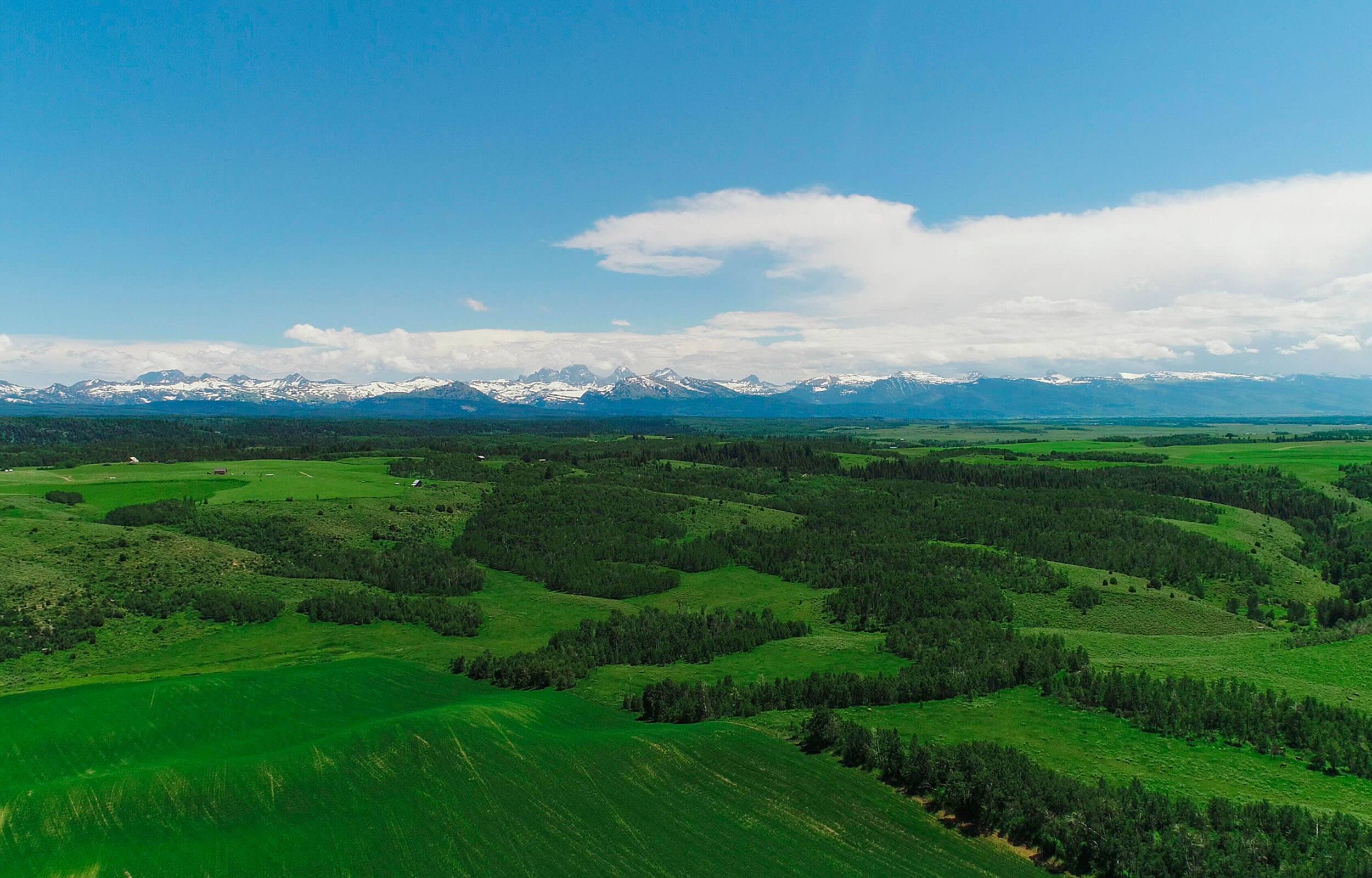 Aerial view of rolling green hills in the Teton Valley.