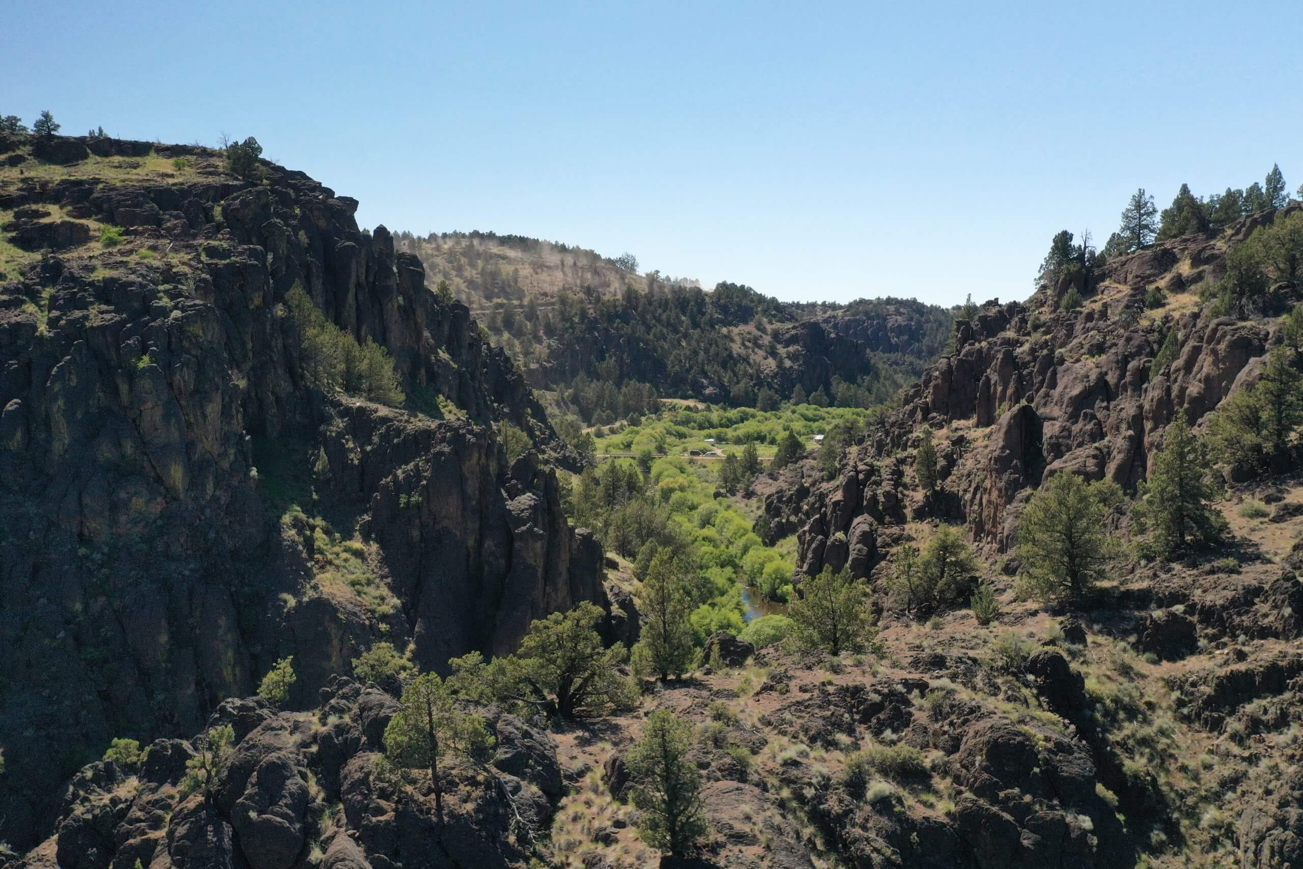 A rugged mountain landscape covered with trees near North Fork Owyhee Campground.