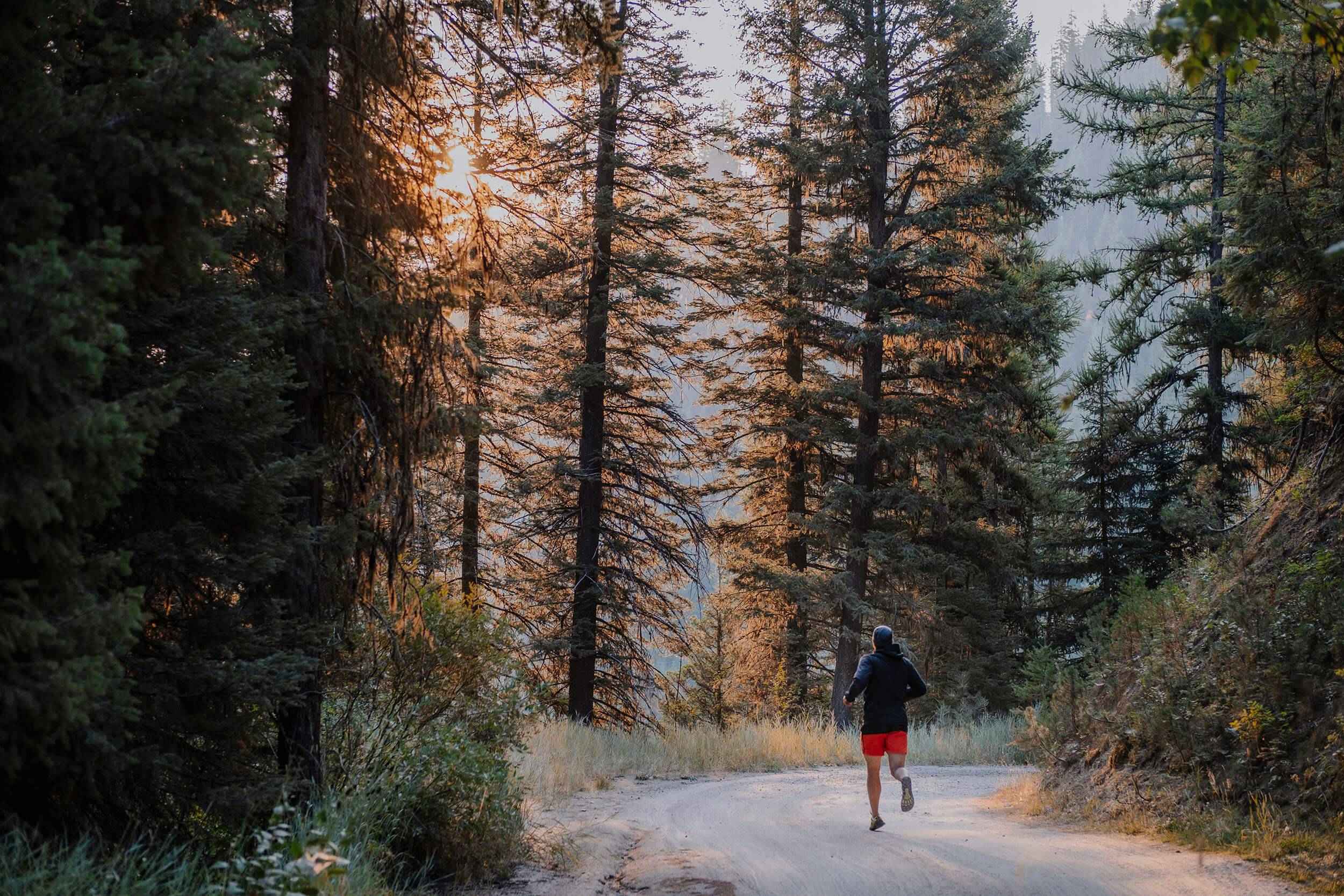 a person running on a trail through a forest