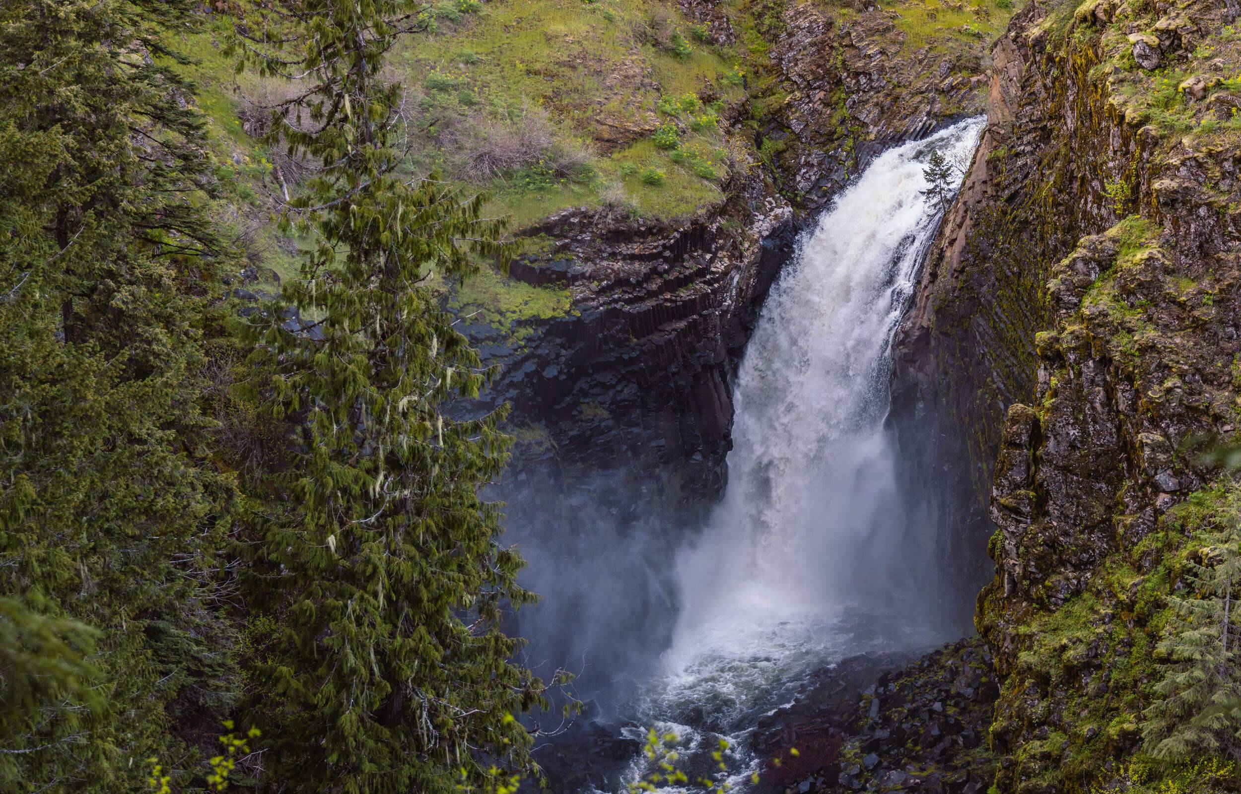 An overhead shot of Lower Elk Creek Falls with forested area around.