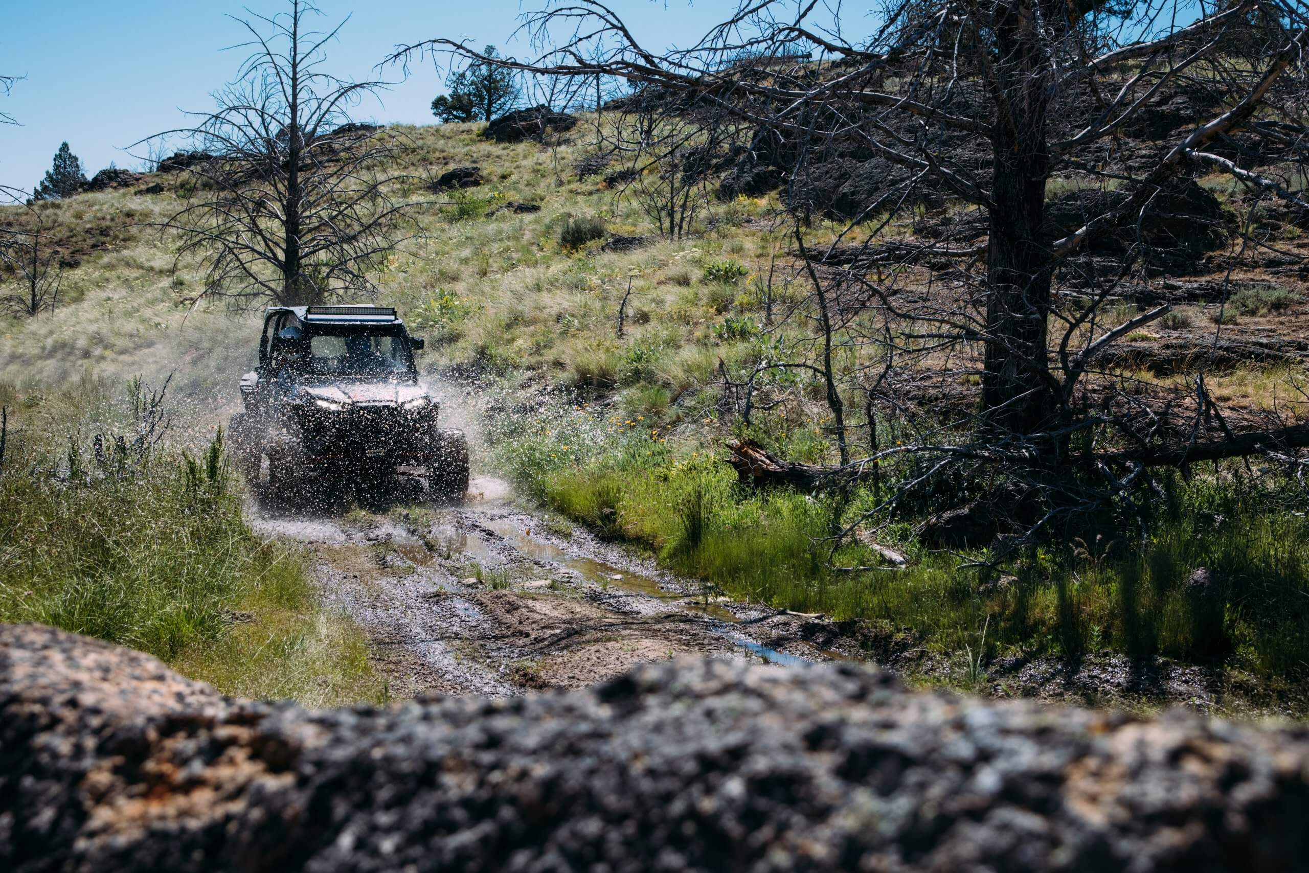 a UTV splashing through water on a muddy trail, surrounded by trees