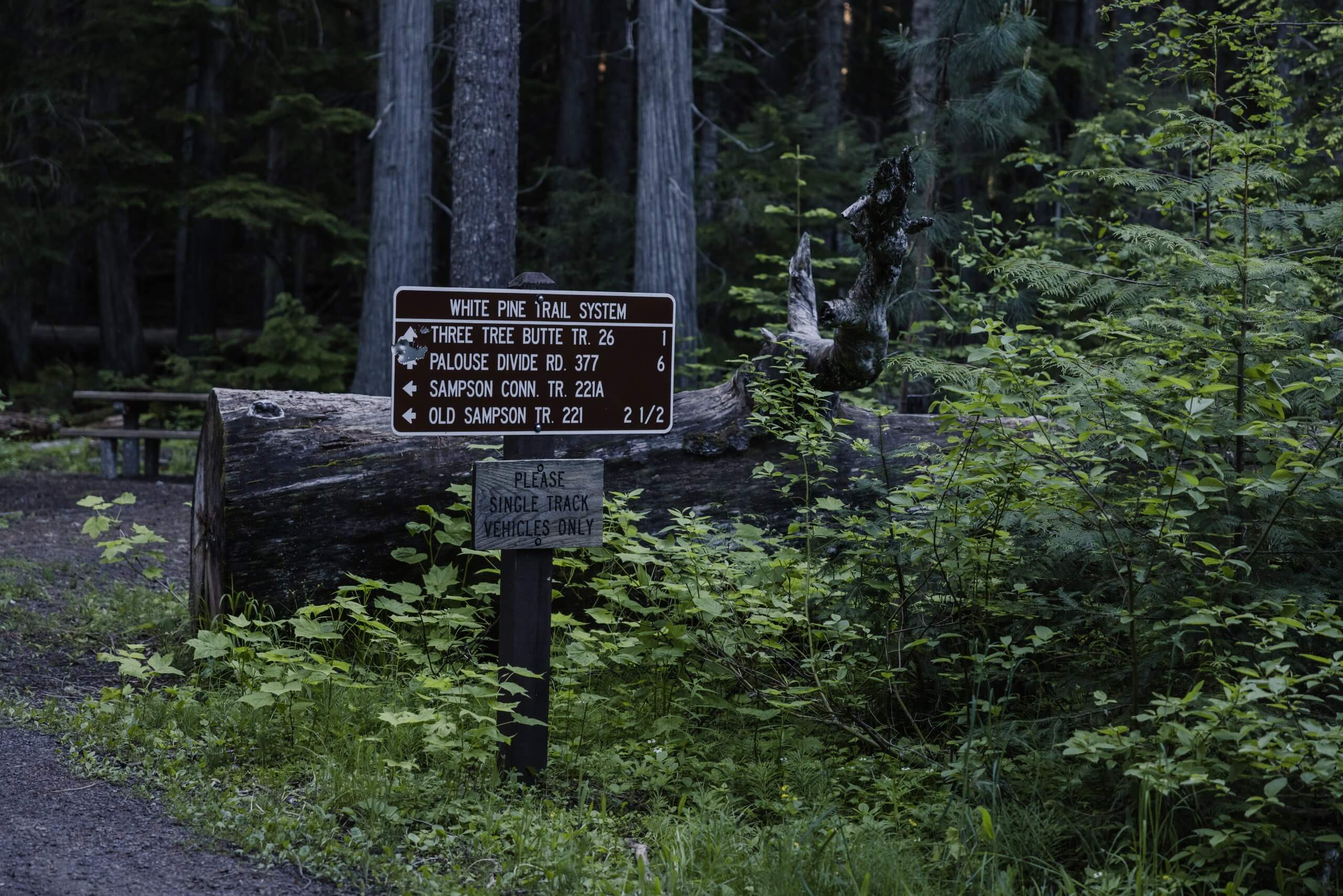 A forest sign showing directions in the Great White Pine Campground.