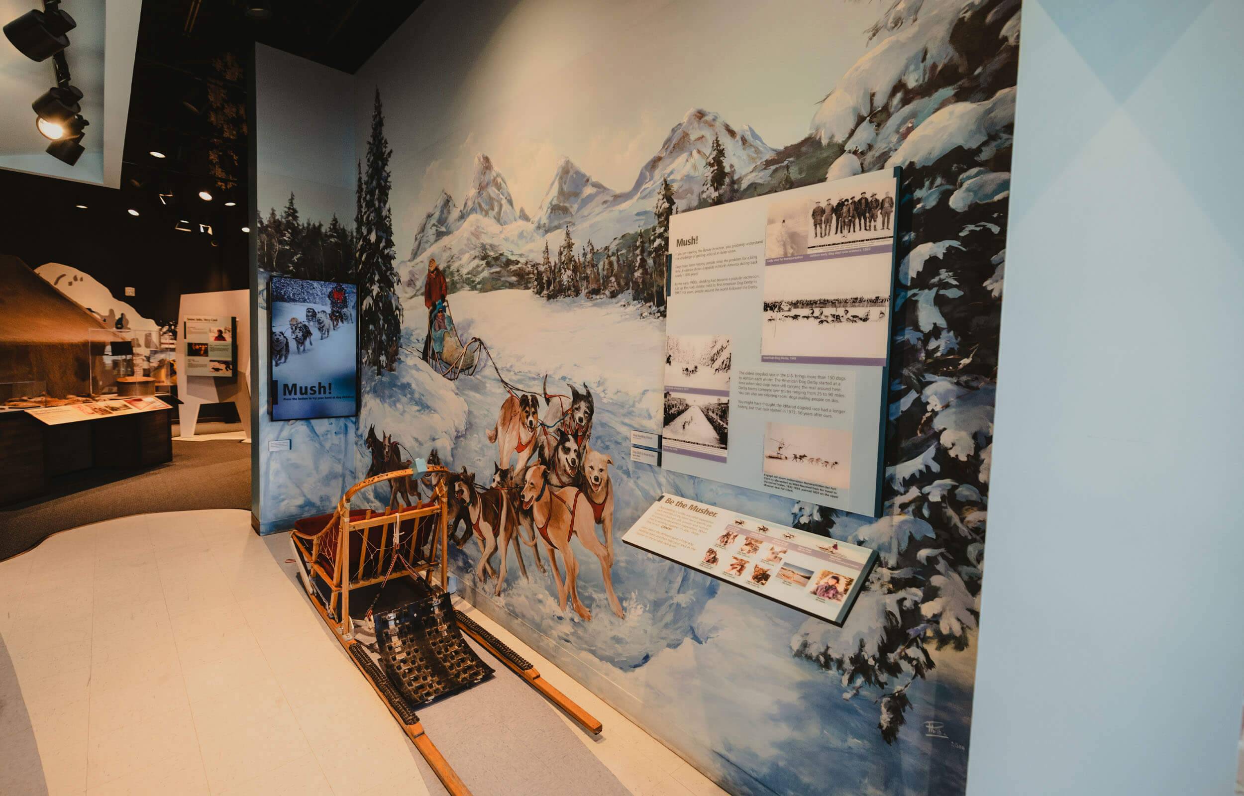 Teton Geo Center sled dog exhibit.
