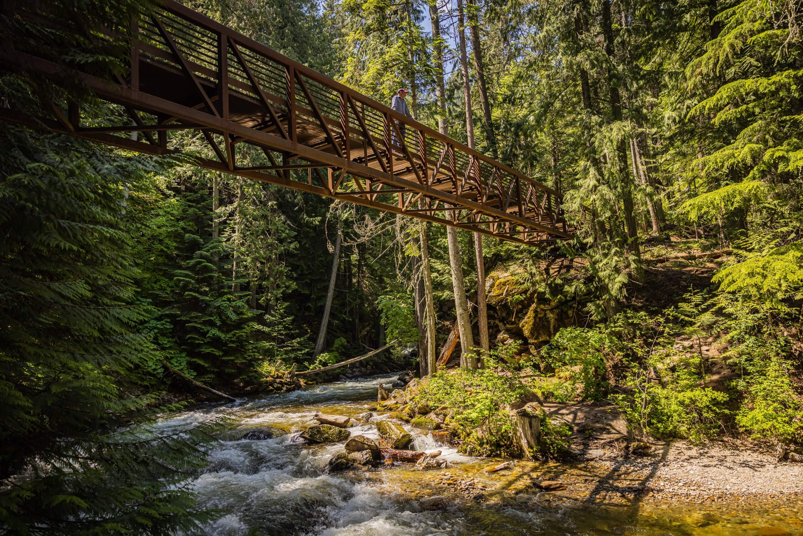 A person stands on a bridge on the Myrtle Falls Trail overlooking a stream in a lush forested area.