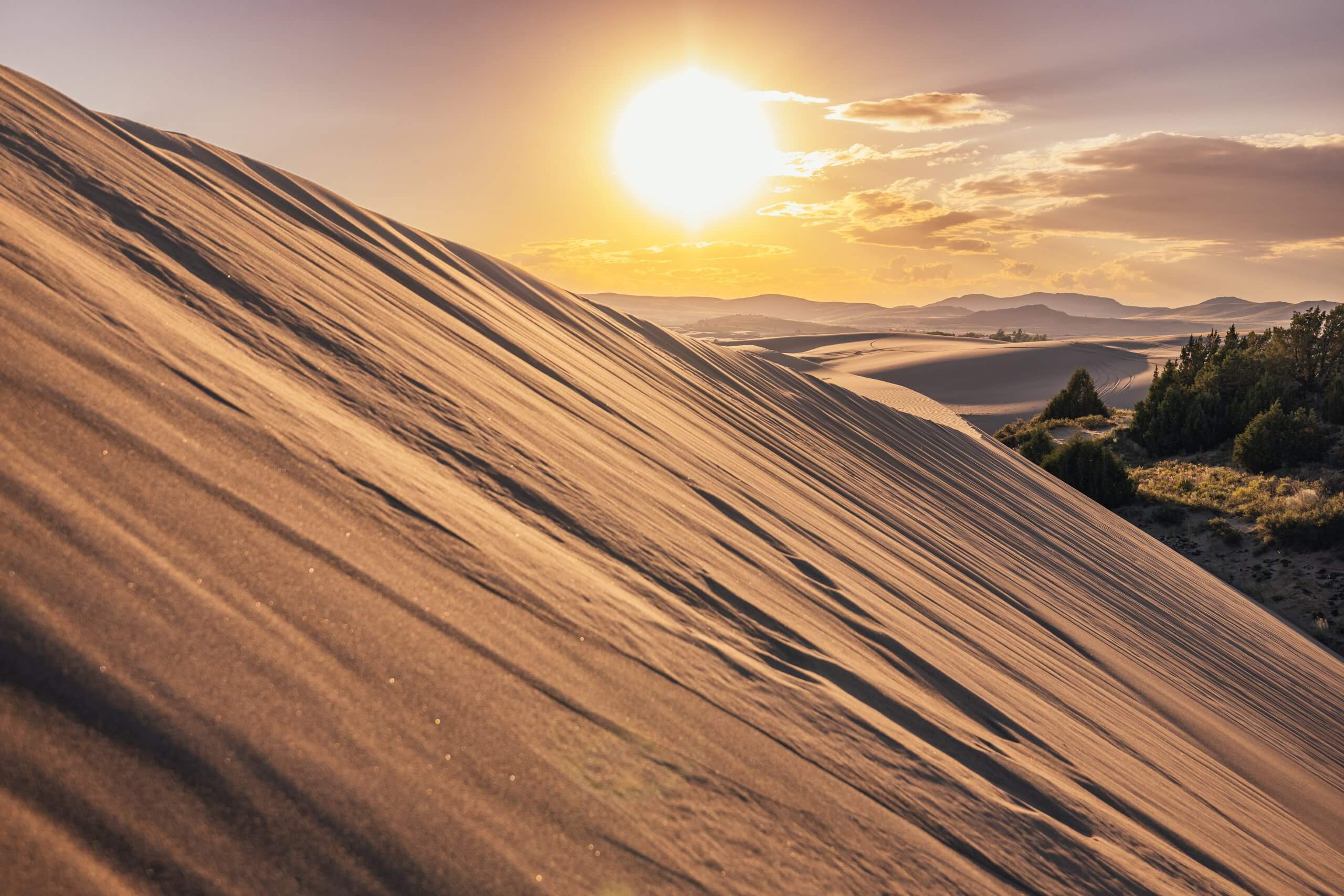 side view of a sand dune at saint anthony sand dunes