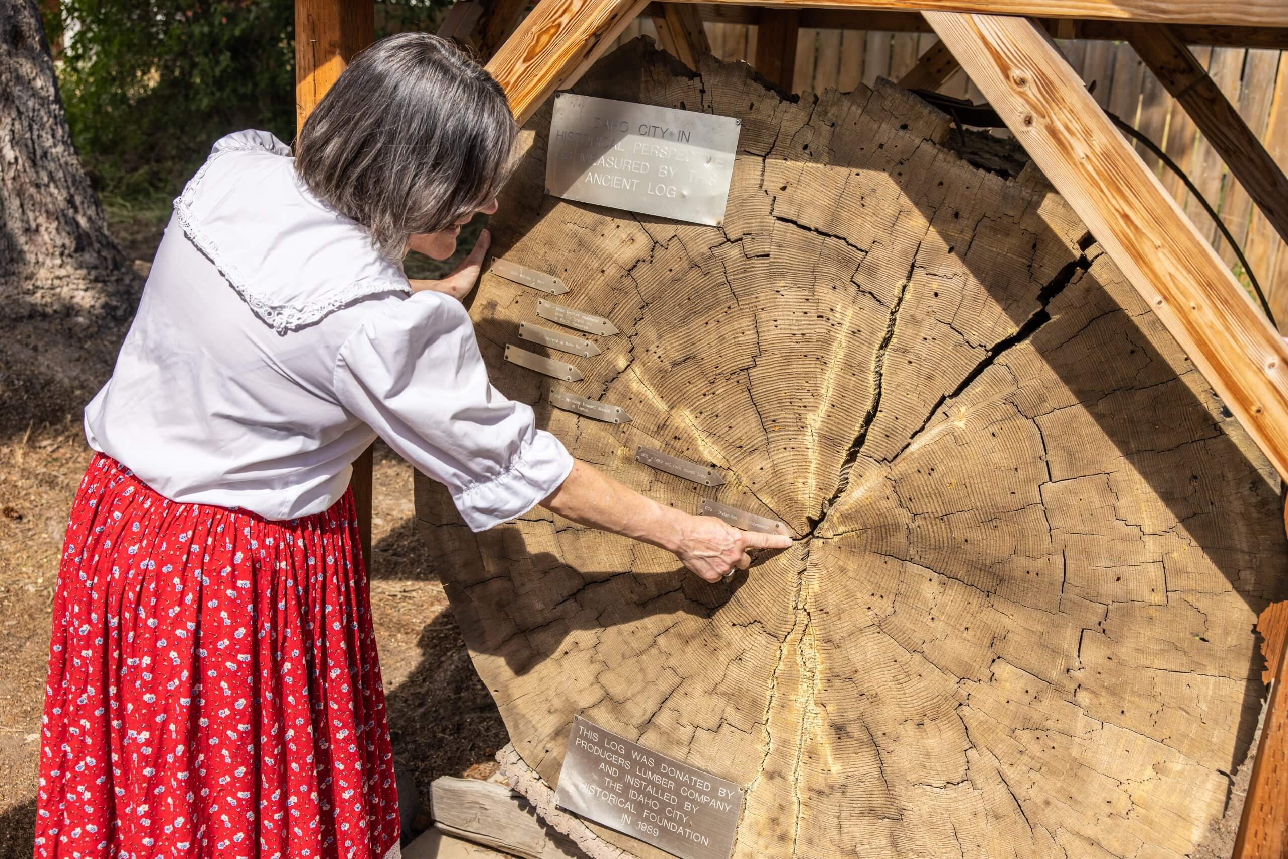 a woman pointing at the center of a sawed log