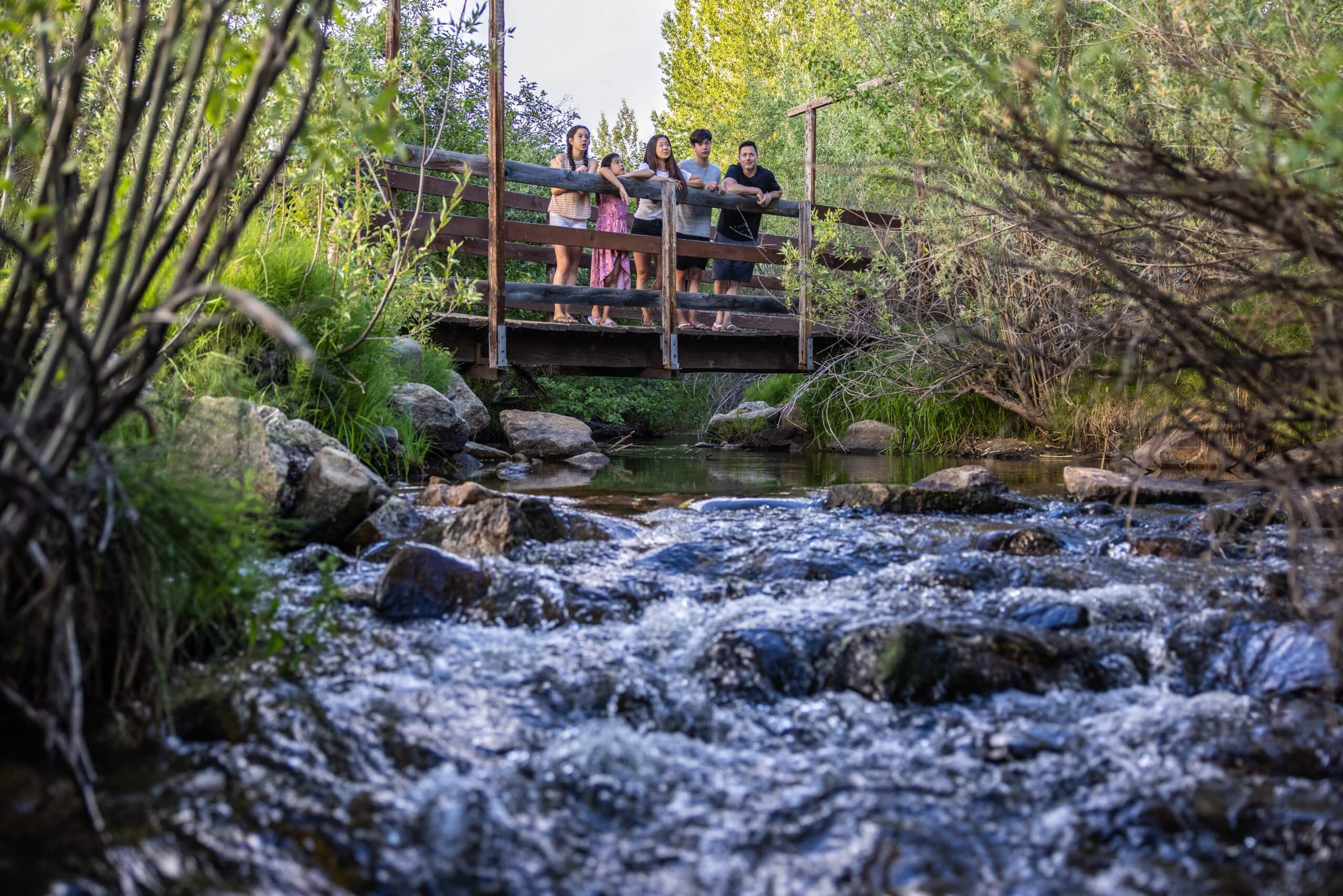 a group of people standing on a wooden bridge crossing a river in a forest, along the Buena Vista Trail