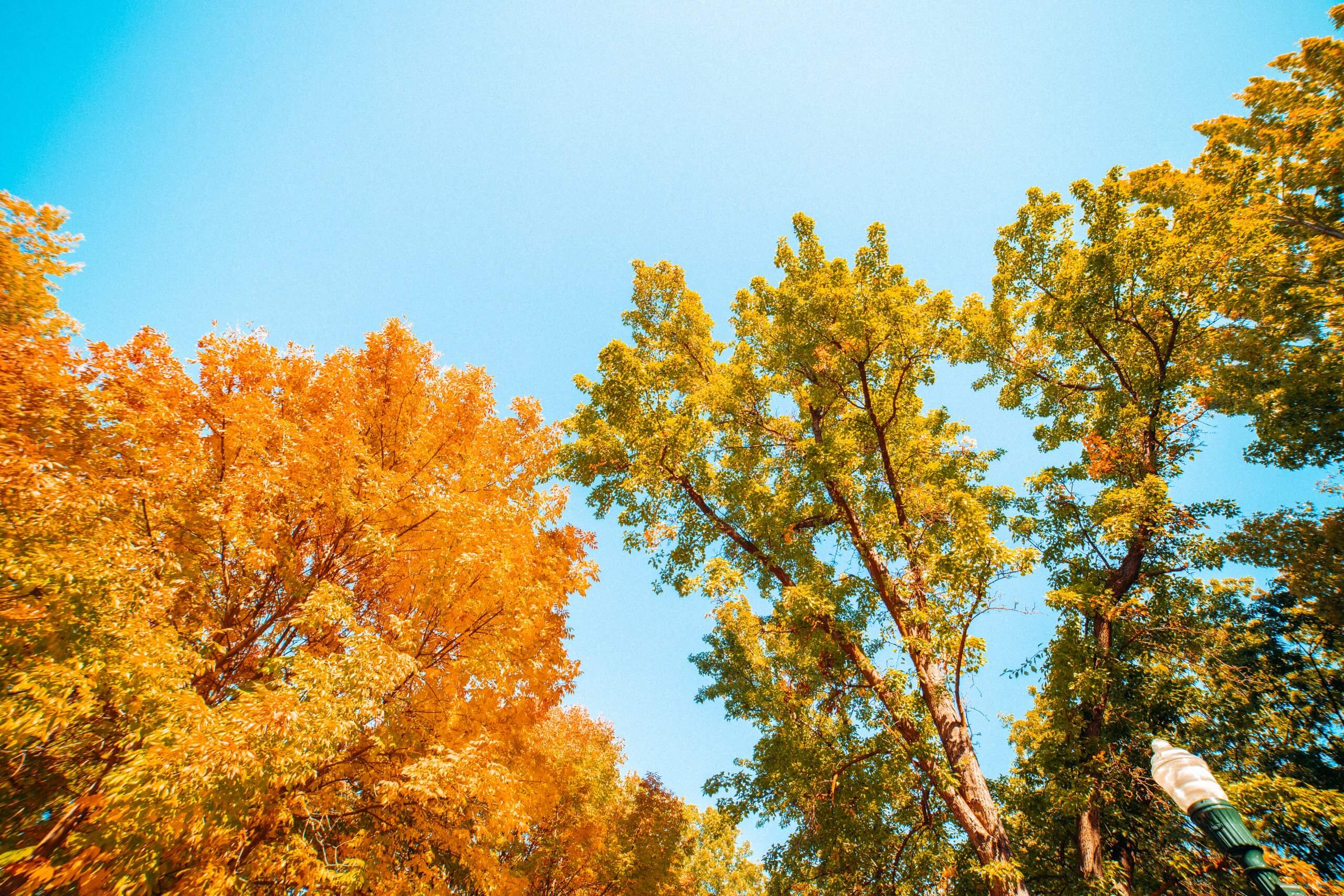 Indulge in the Feeling of Fall in Idaho