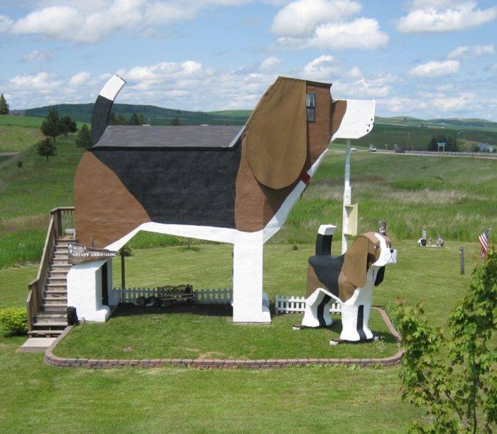 dog shaped hotel