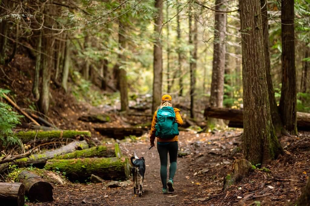 woman in yellow raincoat is walking a dog on a dirt path in a forest 