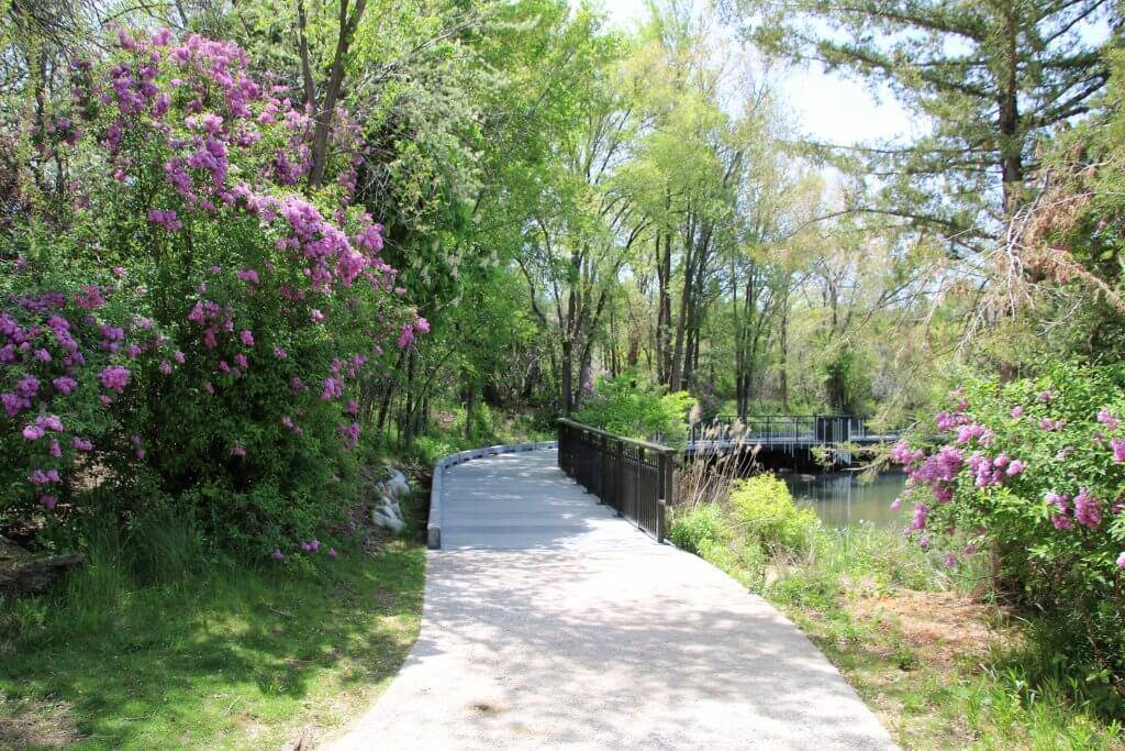 paved path leading to a bridge surrounded by purple and pink flowers and shrubbery in Kathryn Albertson Park.