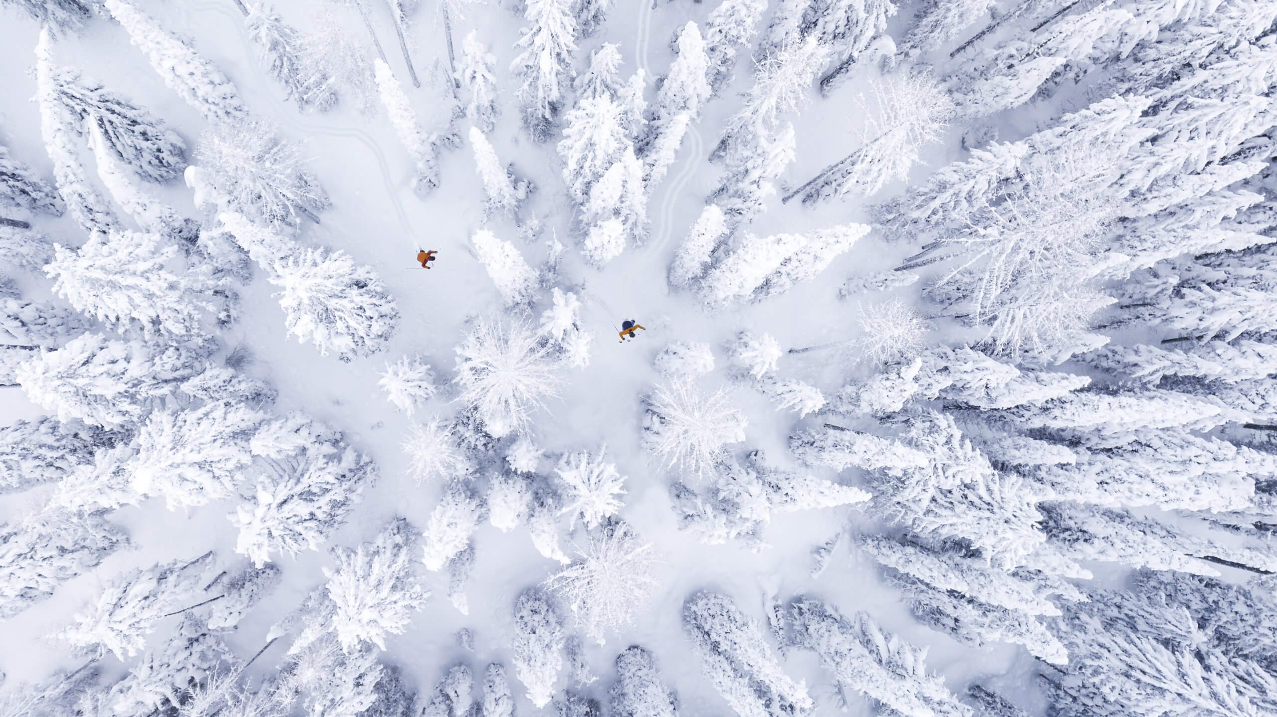 An aerial shot of two people skiing near Lookout Pass, with all the landscape covered in snow.
