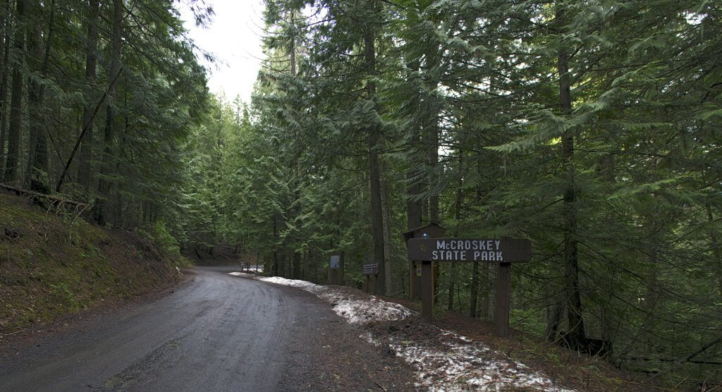 A dirt road leads into McCroskey State Park with tall pine trees standing alongside the road.