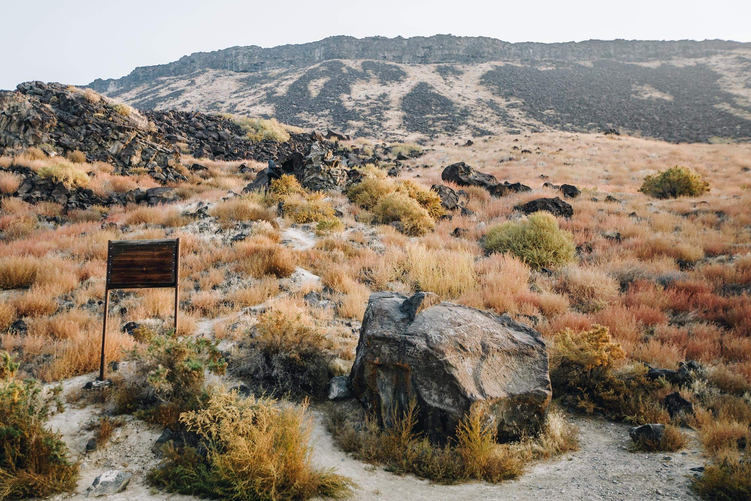 a large rock beside a wooden sign surrounded by desert shrubs with mountains in the background