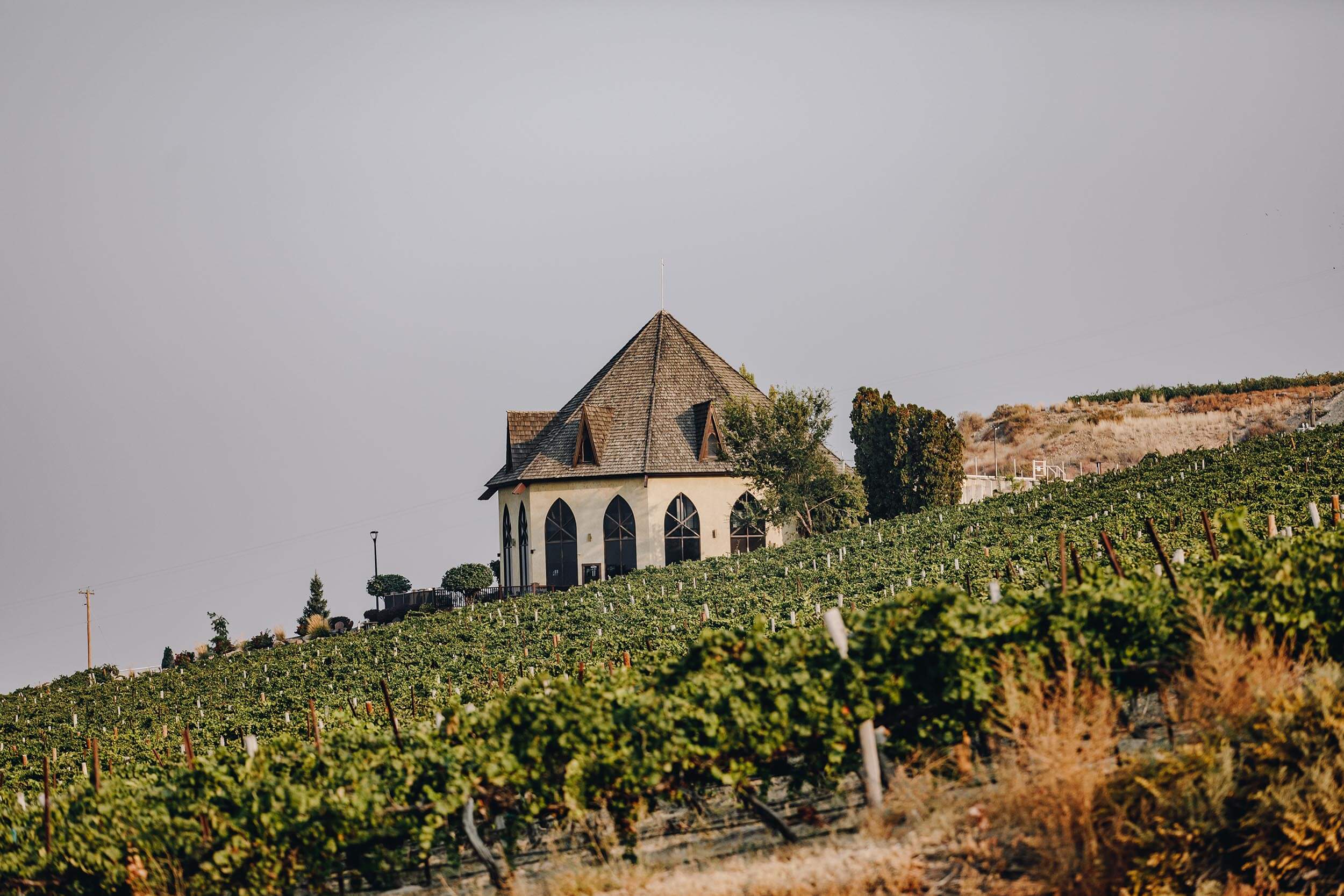 Ste. Chapelle Winery tasting room beside a vineyard on a sloped landscape.