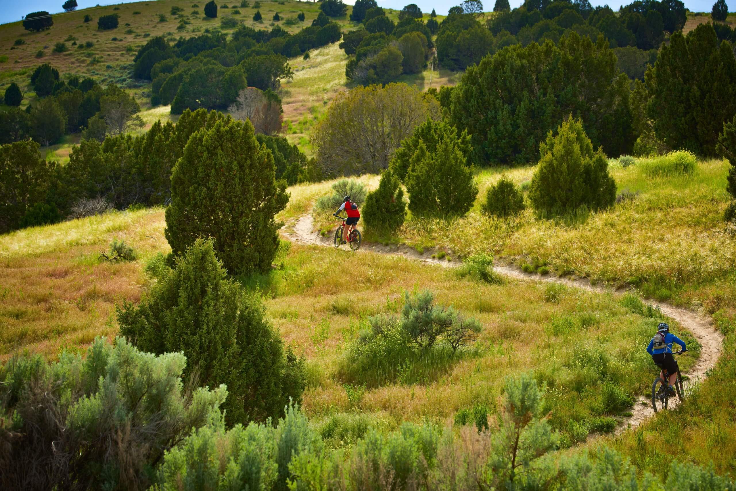 Two people riding mountain bikes along a trail surrounded by green grass and trees in the Pocatello Foothills.