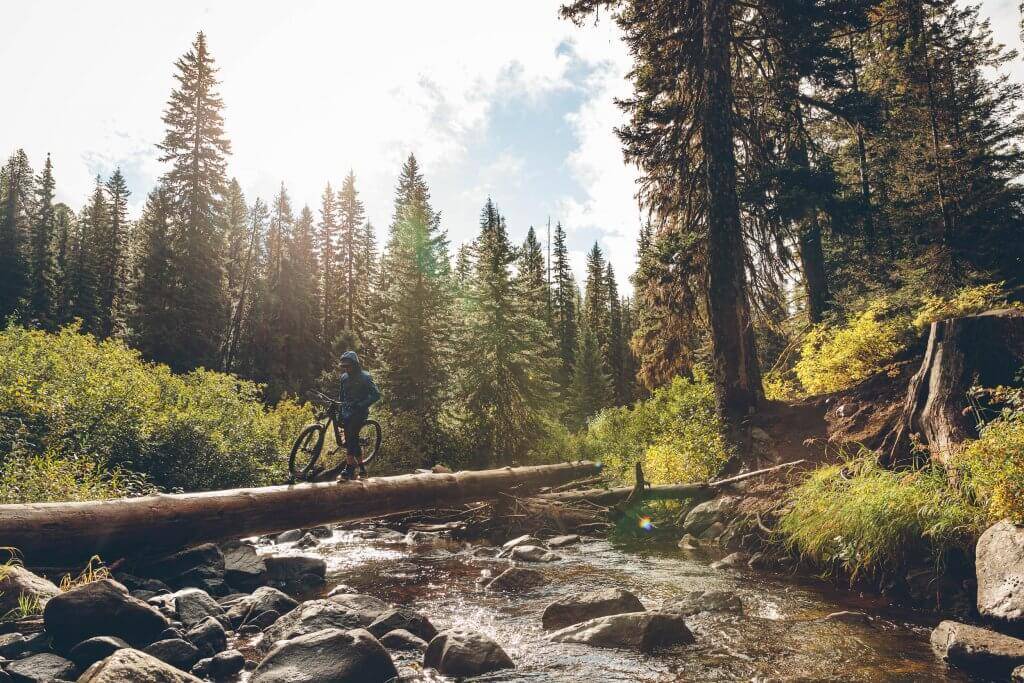 a person walking their mountain bike across a fallen tree over a river within a forest of tall trees