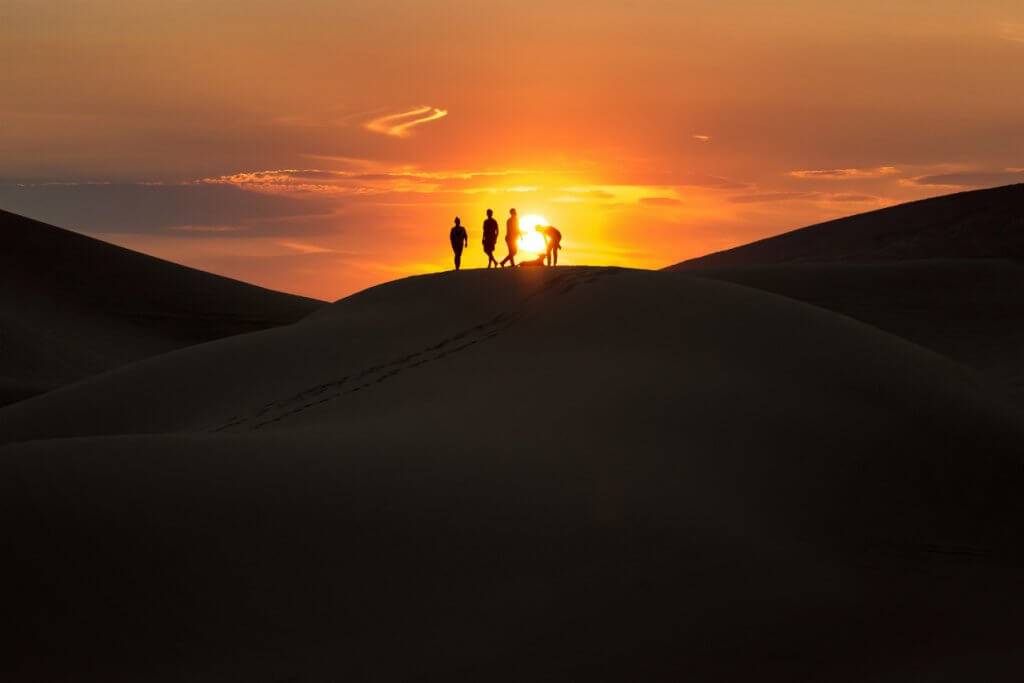 sunset on sand dune