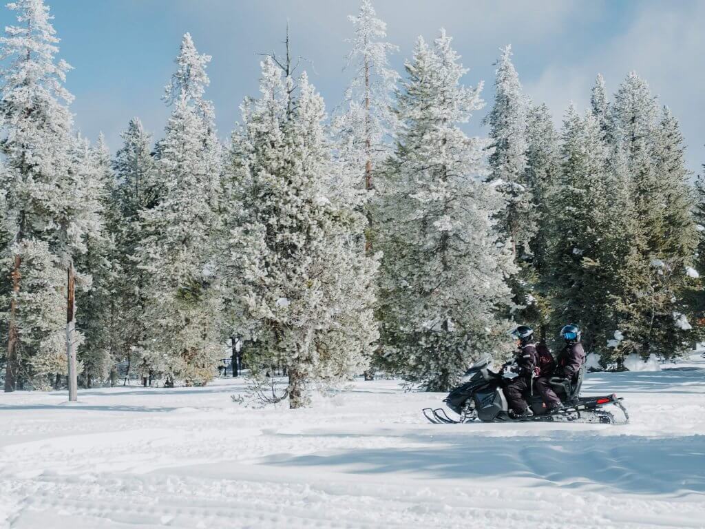 Two people riding on a snowmobile with snow-covered pine trees behind them.