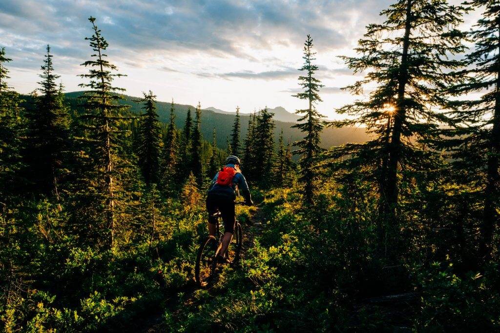 A mountain biker riding on a forested trail in the Idaho Panhandle.