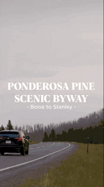 Thumbnail of the animated gif of Ponderosa Pine Scenic Byway.