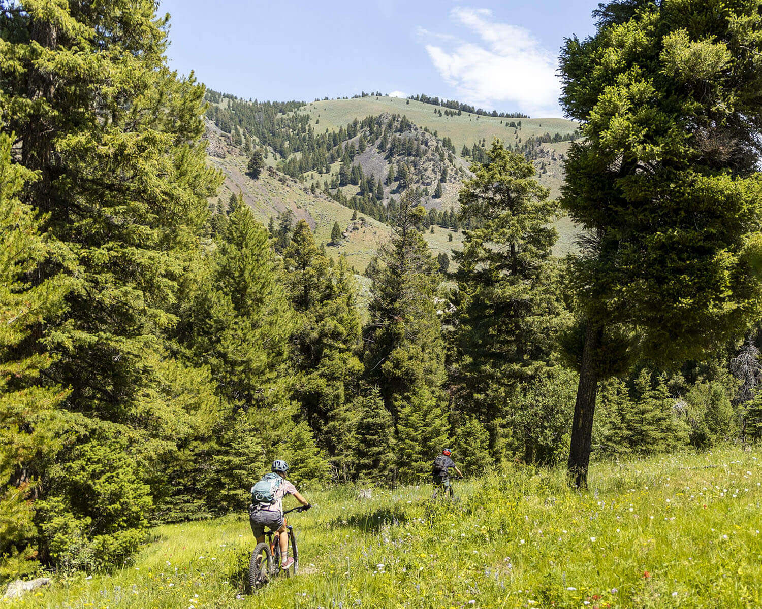 Two people riding mountain bikes on the Powderhouse Gulch Trail.