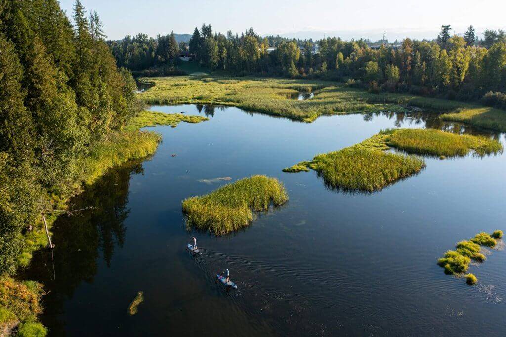 aerial view of two people on paddleboards in large marsh area surrounded by forest
