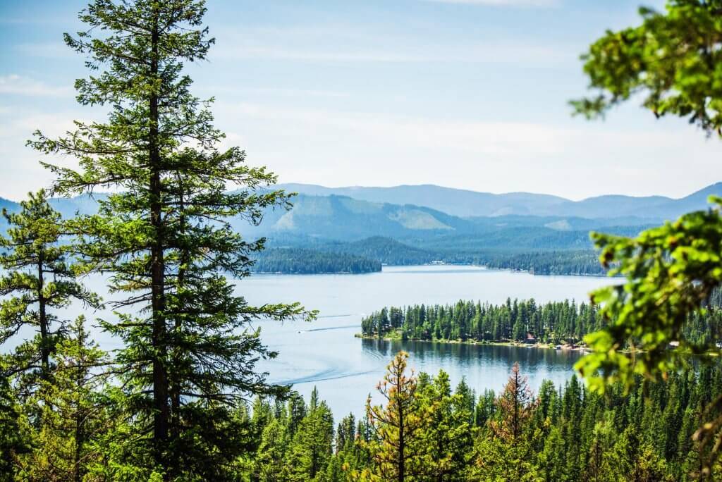 A view of Priest Lake through a forest of trees and tree-covered inlets and mountains in the background.