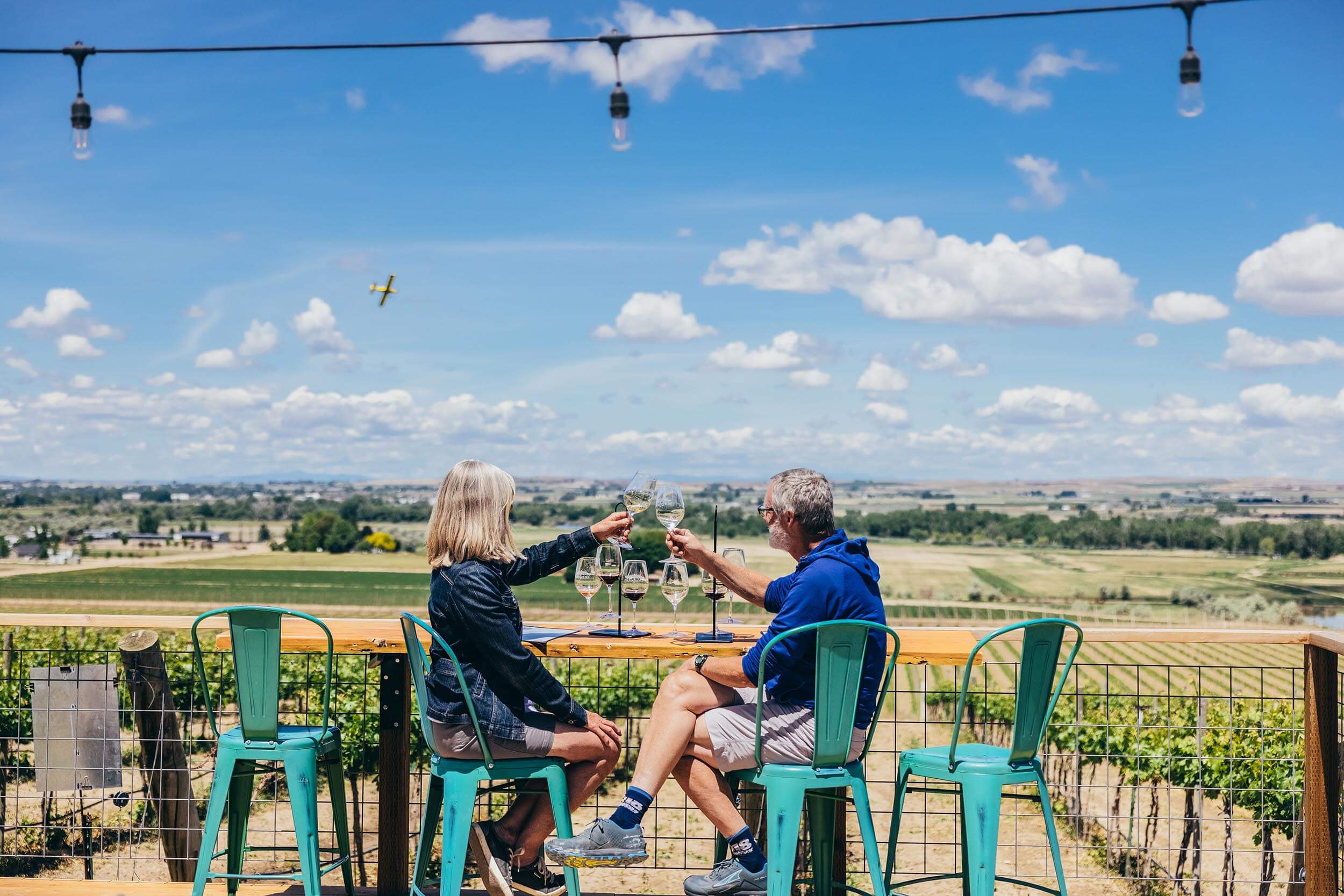a man and woman sitting outside raising glasses of wine in a cheers, overlooking a vineyard