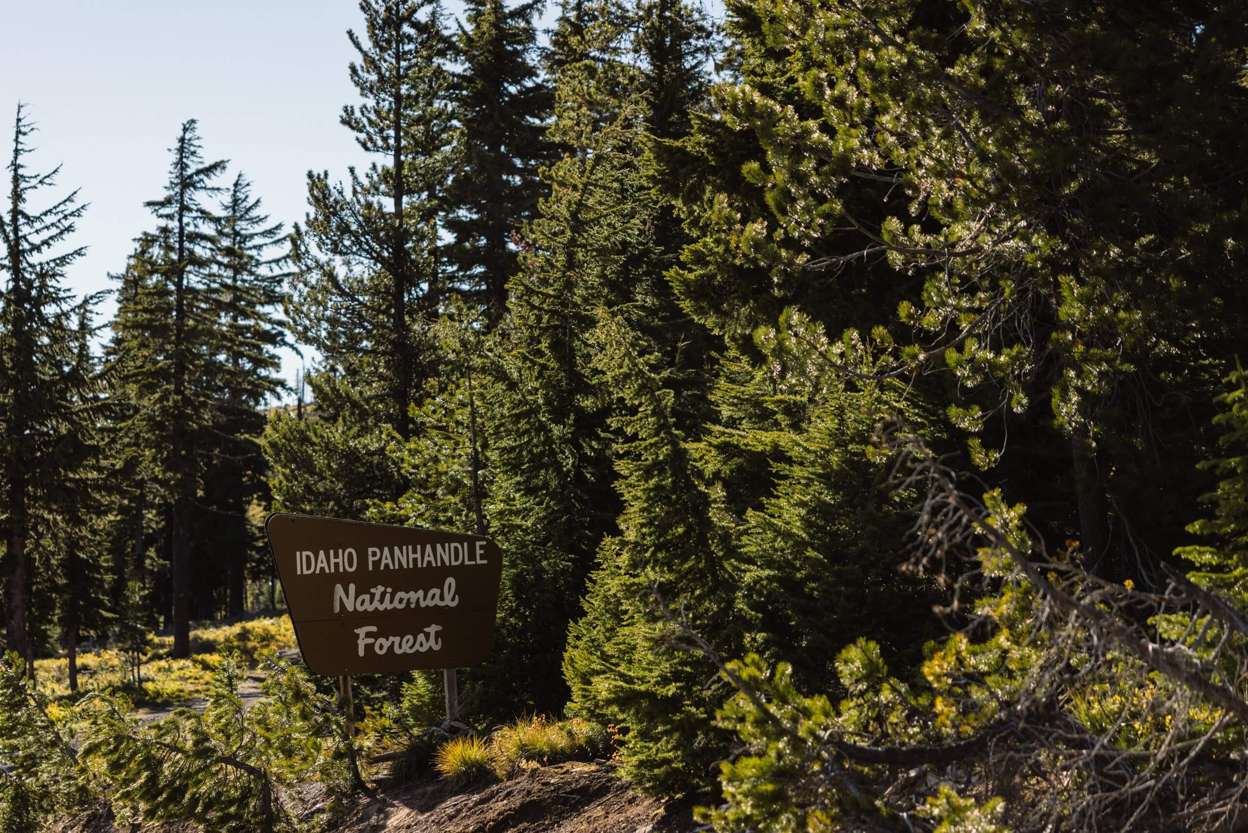 Idaho Panhandle National Forest sign.