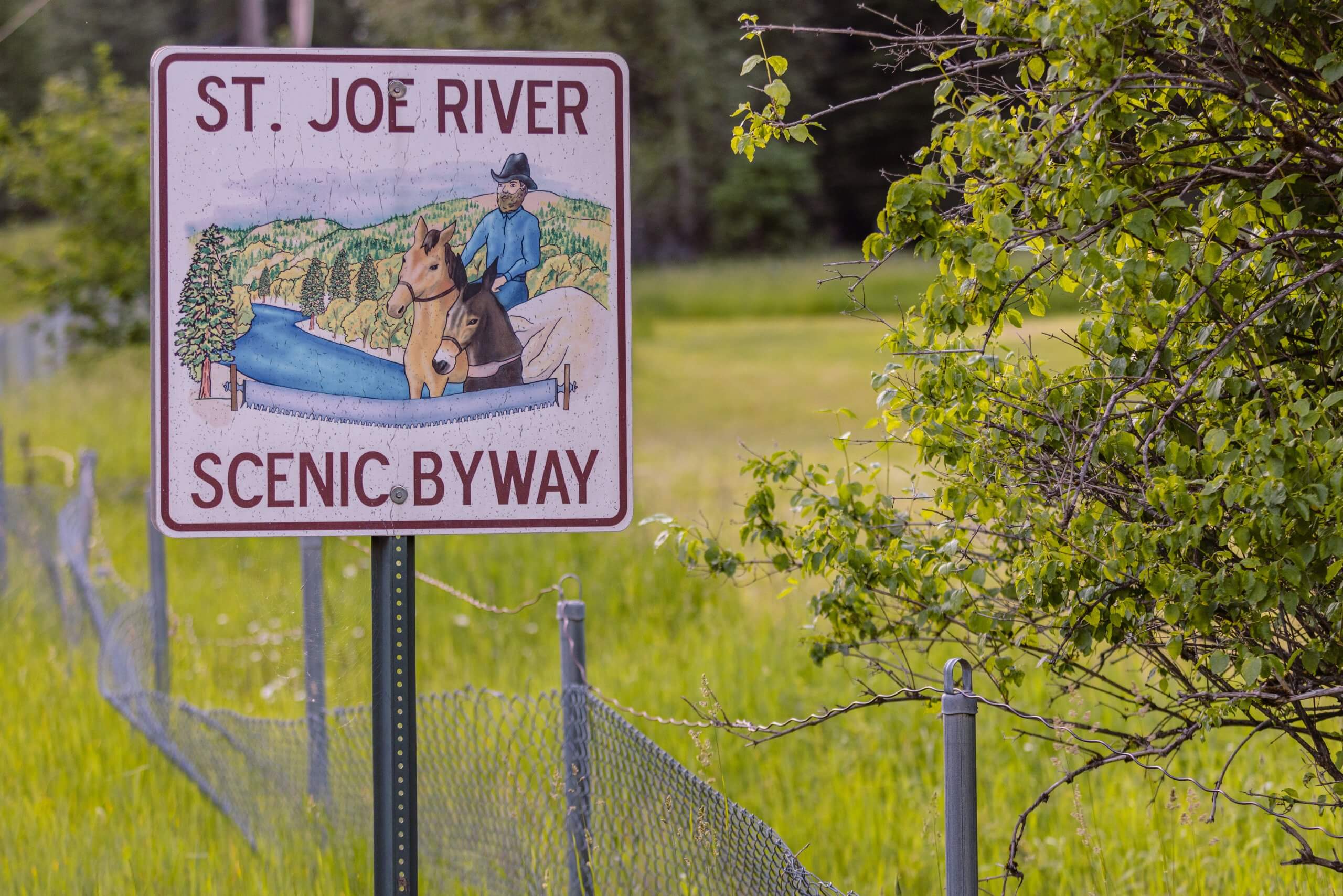 A roadside sign for Saint Joe River Scenic Byway.