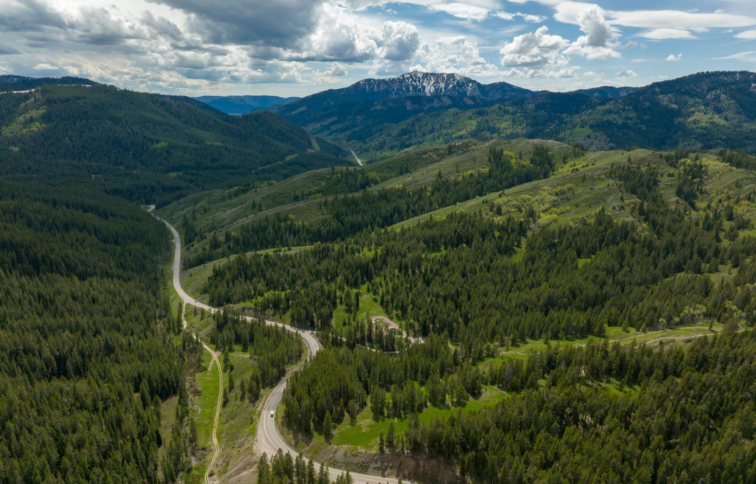 An aerial view of a road winding through a mountain pass filled with trees.