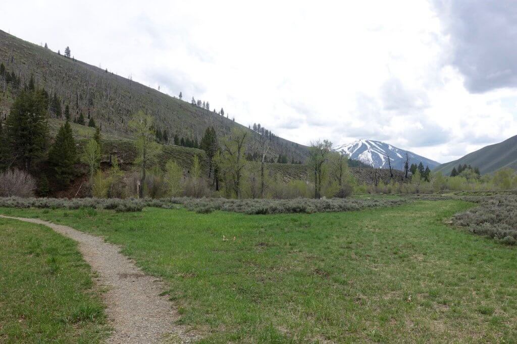 A compacted gravel trail surrounded by ground cover leads towards the base of a mountain.