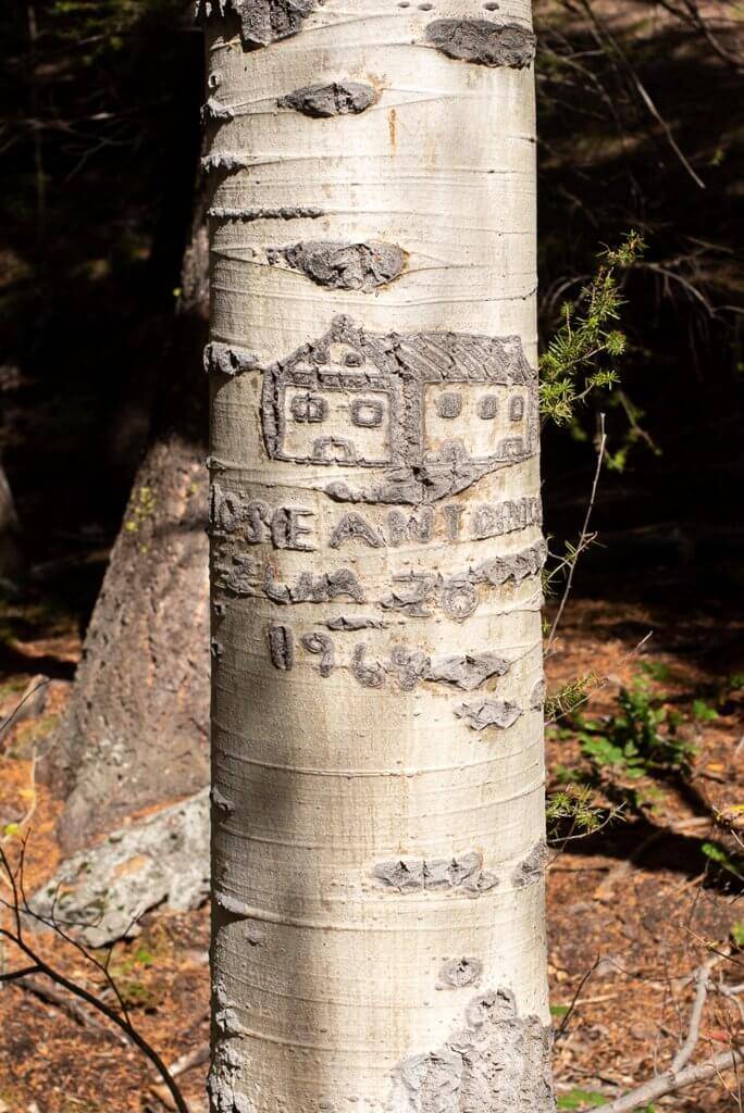 a carving of a house and some other words on an aspen tree