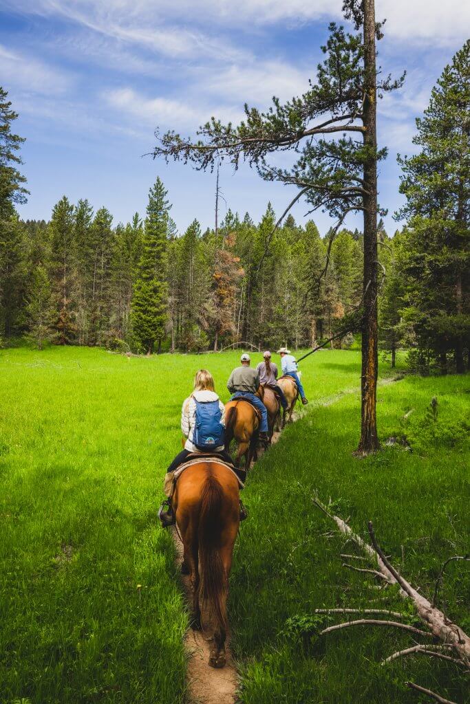 Four people on horseback are in a single file line on a dirt trail surrounded by forest in Harriman State Park.
