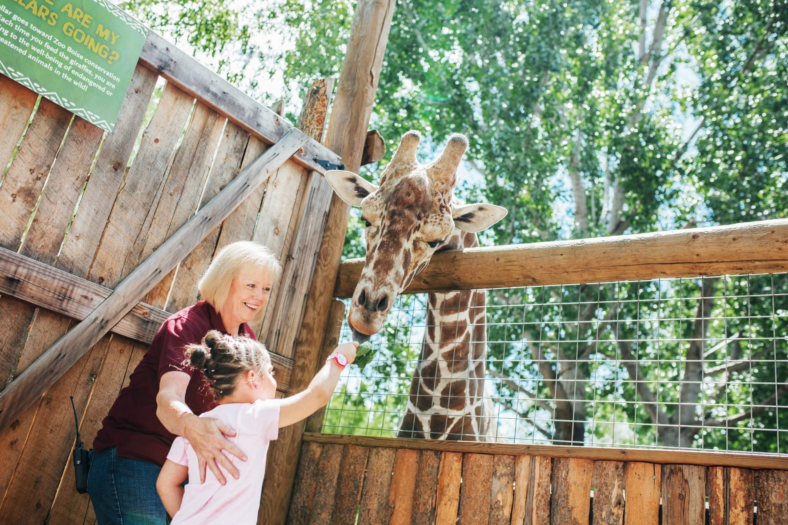 Feeding the giraffe at Zoo Boise, Boise.