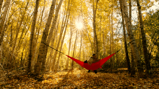 Two people sitting in a red hammock in the forest during the fall.
