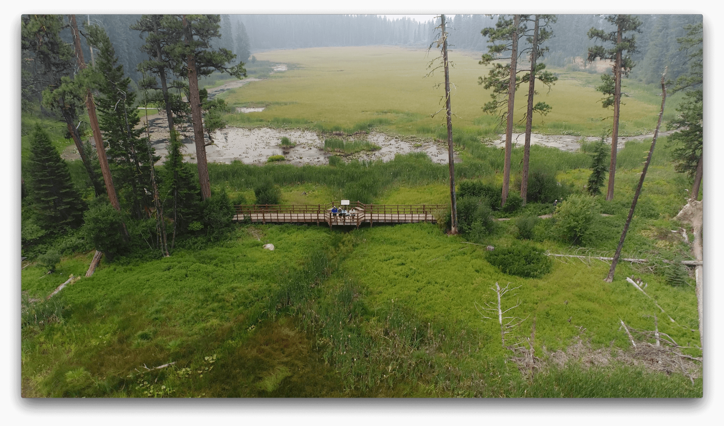 Aerial photo of marshy area, framed by a wooden walkway to the bottom of the frame.