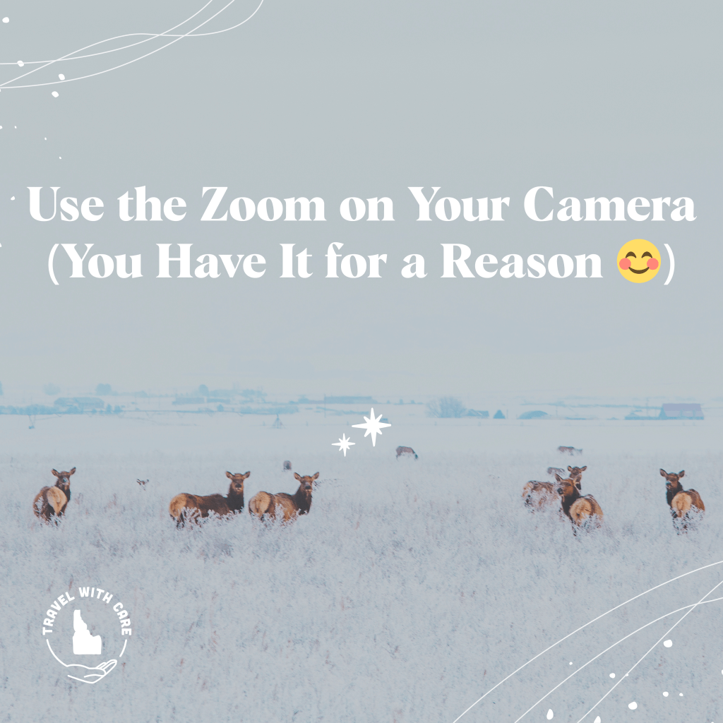 A graphic with an image of elk gathered around a field, with white text overlaid reading, "Use the zoom on your camera (You have it for a reason)"