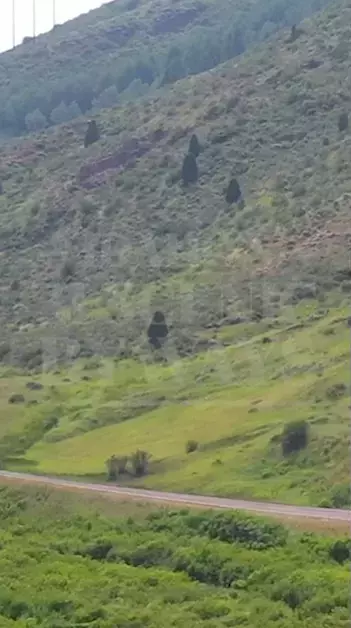 A short clip of Pioneer Scenic Byway.