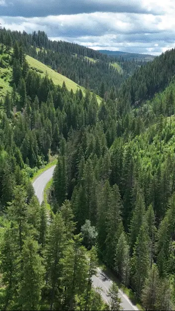 Animated gif of Mesa Falls Scenic Byway.